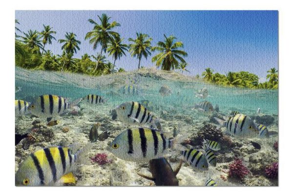 Animal Coral Reef And Fish Jigsaw Puzzle Set