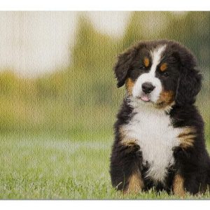 Animal Dogs, Bernese Mountain Puppy Jigsaw Puzzle Set