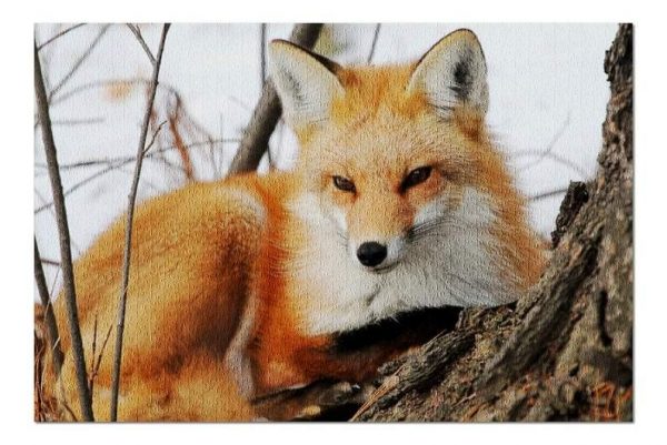 Animal Fox In Winter Jigsaw Puzzle Set