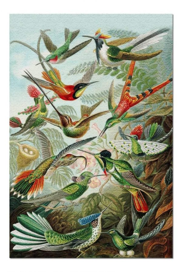 Animal Hummingbirds Jigsaw Puzzle Set