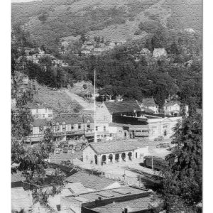 B&W Aerial View Of Mill Valley Jigsaw Puzzle Set