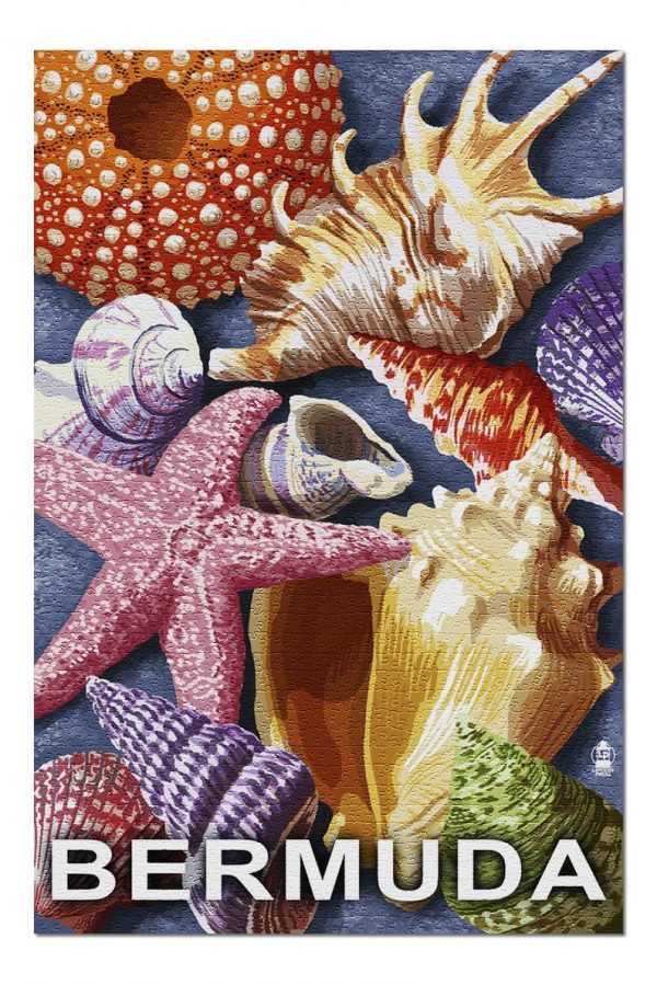 Bermuda Colorful Shells Jigsaw Puzzle Set