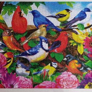 Birds Lover Jigsaw Puzzle Set