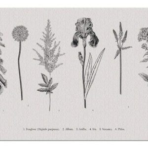 Black & White Vintage Botanical Jigsaw Puzzle Set