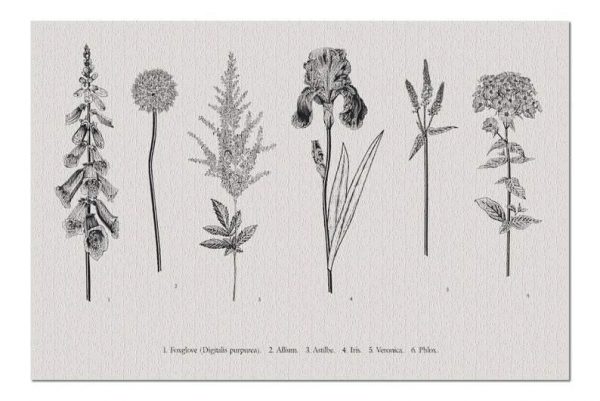 Black & White Vintage Botanical Jigsaw Puzzle Set