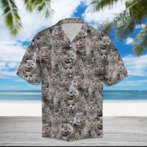 British Shorthair Hawaiian Shirt Summer Button Up