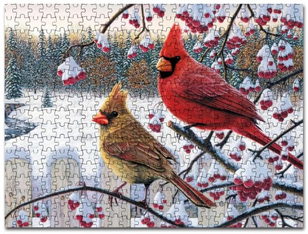 Cardinal Jigsaw Puzzle Set