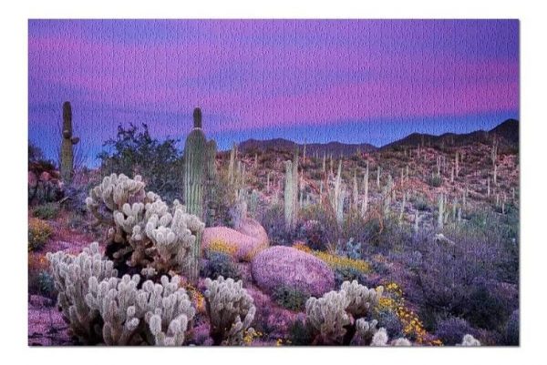 Colorful Flowers At Sunset Jigsaw Puzzle Set