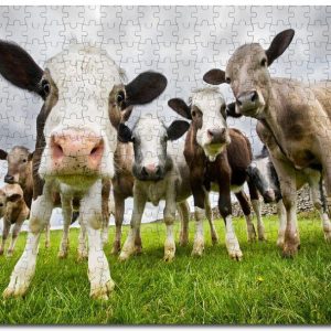 Cow Jigsaw Puzzle Set