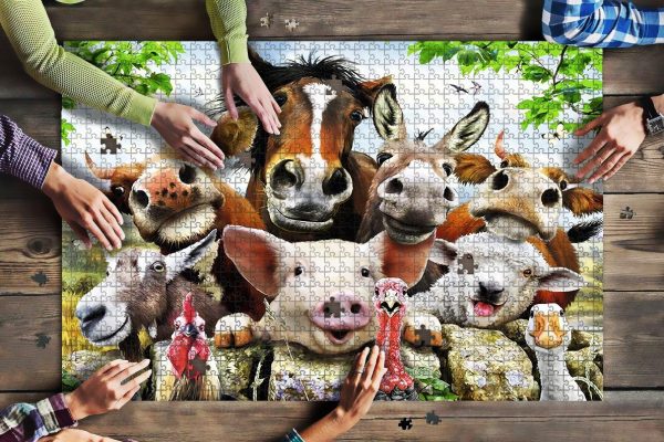 Cute Animal Funny Jigsaw Puzzle Set