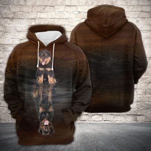 Cute Rottweiler Reflection 3D Printed Hoodie/Zipper Hoodie