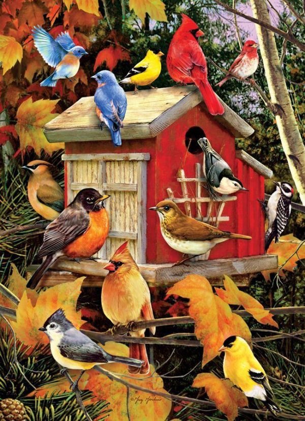 Fall Birds Jigsaw Puzzle Set