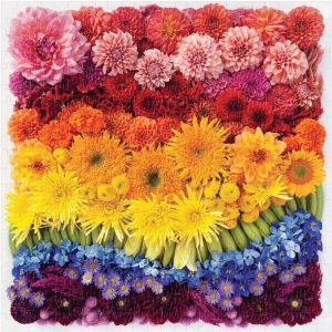 Flowers Jigsaw Puzzle Set