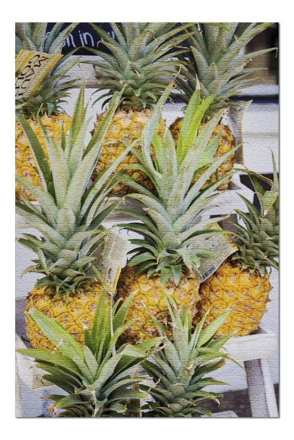 Fruit, Pineapples Jigsaw Puzzle Set