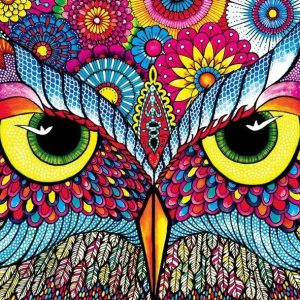 Owl Eyes Jigsaw Puzzle Set