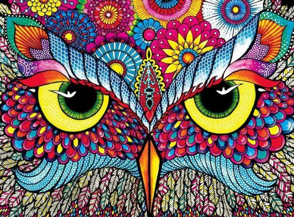 Owl Eyes Jigsaw Puzzle Set