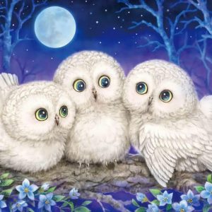 Owl Triplets Jigsaw Puzzle Set