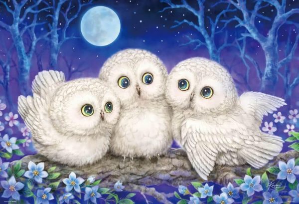 Owl Triplets Jigsaw Puzzle Set