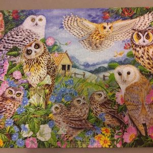 Owls Jigsaw Puzzle Set