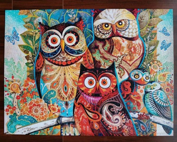 Owls Lover Jigsaw Puzzle Set