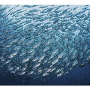 School Of Fish Jigsaw Puzzle Set