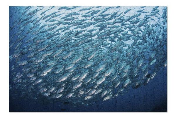 School Of Fish Jigsaw Puzzle Set