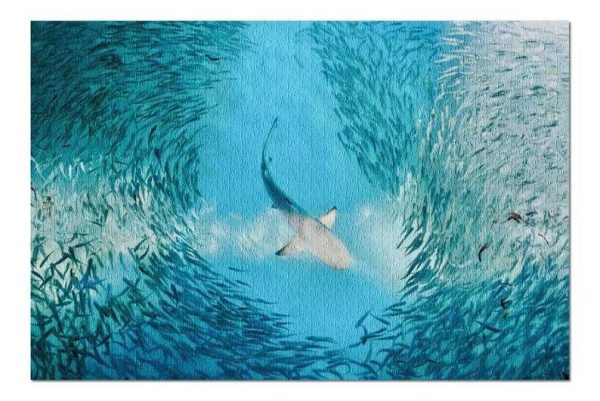 Shark And School Of Small Fish Jigsaw Puzzle Set