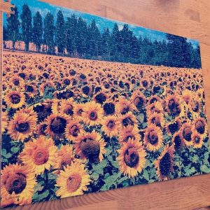 Sunflower Garden ? Jigsaw Puzzle Set