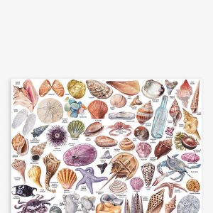 The Beachcombers Companion Jigsaw Puzzle Set