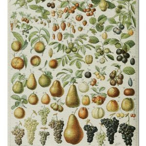 Vintage Bookplate Assorted Fruits Jigsaw Puzzle Set