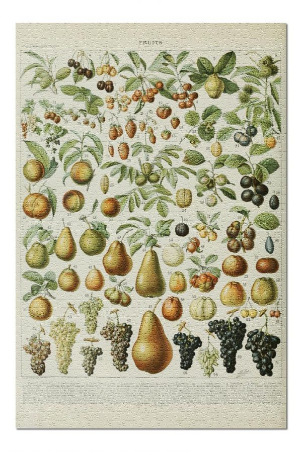 Vintage Bookplate Assorted Fruits Jigsaw Puzzle Set