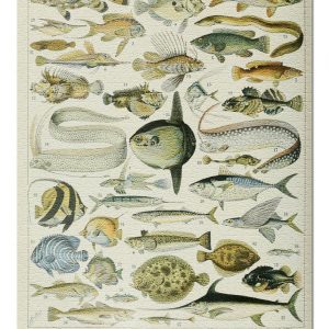 Vintage Bookplate Fish Jigsaw Puzzle Set