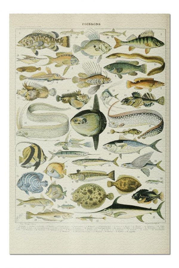 Vintage Bookplate Fish Jigsaw Puzzle Set