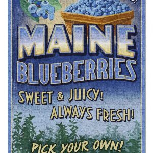 Vintage Maine Blueberries Jigsaw Puzzle Set